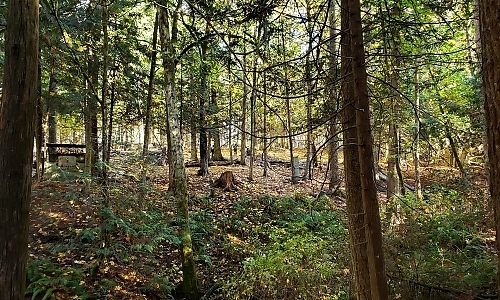20181028_151306